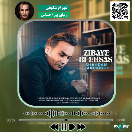 دانلود آهنگ زیبای بی احساس شهرام شکوهی